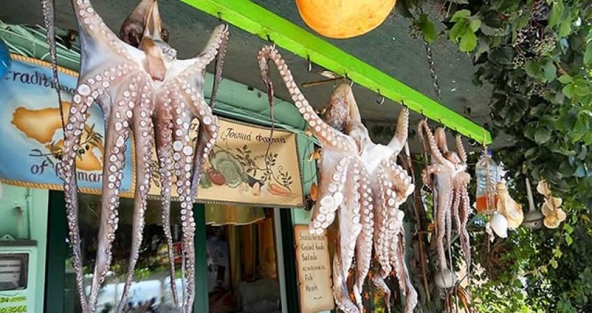 Ayvalık - Midilli Feribot Biletleri