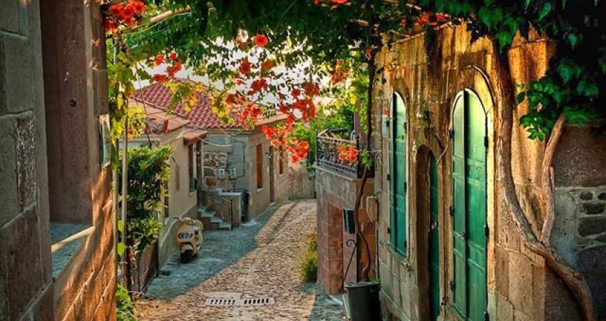 Ayvalık - Midilli Feribot Biletleri