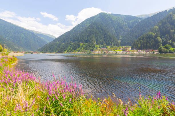  Uçakla Karadeniz Yaylalar Rüzgarı ve Batum Turları (Trabzon başlar, Rize biter)