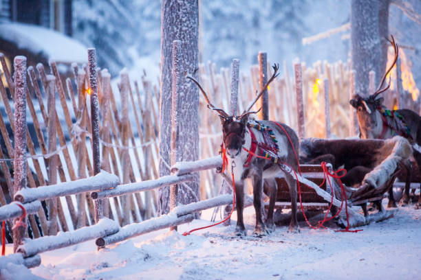 LAPLAND Kuzey Işıkları Turu - Tüm Turlar ve Buzkıran Dahil 