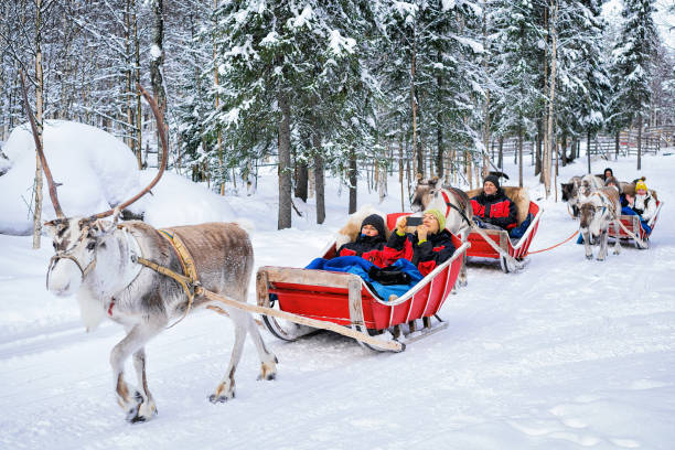 LAPLAND Kuzey Işıkları Turu - Tüm Turlar ve Buzkıran Dahil 