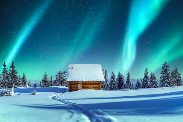 LAPLAND Kuzey Işıkları Turu - Tüm Turlar ve Buzkıran Dahil 