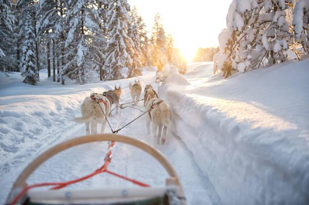 LAPLAND Kuzey Işıkları Turu - Tüm Turlar ve Buzkıran Dahil 