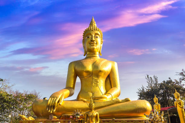 Comfort Phuket & Bangkok & Pattaya Turu