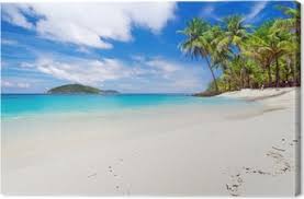 Comfort Phuket & Bangkok & Pattaya Turu